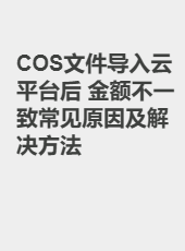 COS文件导入云平台后 金额不一致常见原因及解决方法-taoye